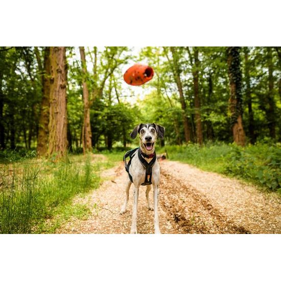 Non-stop dogwear Hračka Dog throw toy