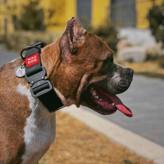 WAUDOG Obojek voděodolný Collartex fastex