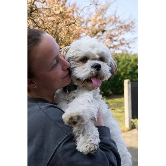 DogSpace Lucky prodlužovací brána kovová