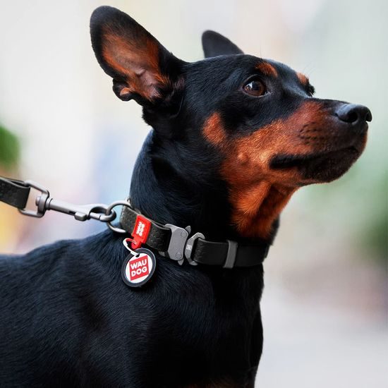 WAUDOG Obojek voděodolný Collartex fastex