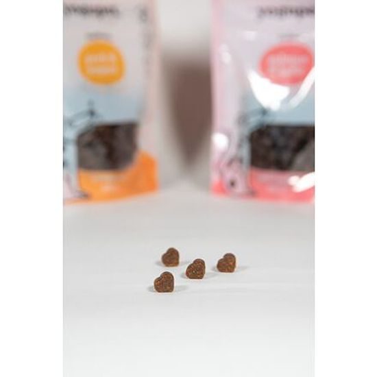 Yogupet Snack pro psy s lososem a kefírem 100 g