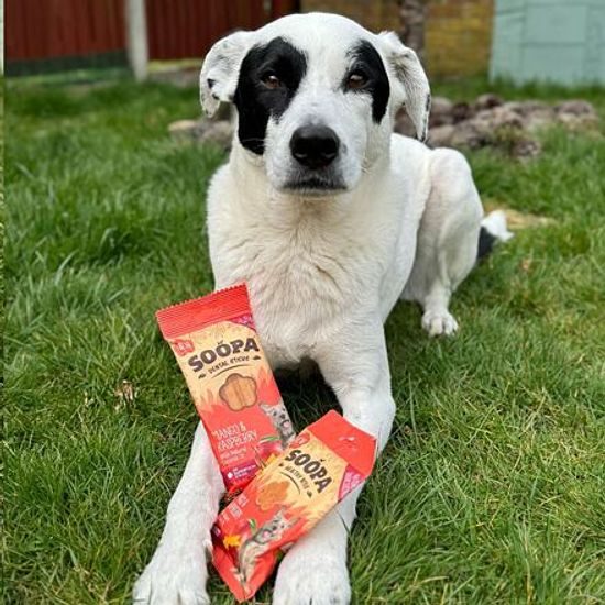 Soopa Pets Dentální tyčinky Soopa s mangem a malinou 100 g