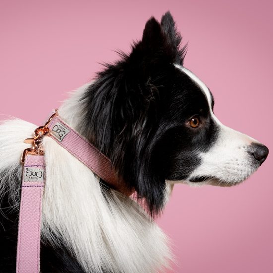 FUNKY DOG Konopné krátké vodítko pro psa 1,7 m fialové lila