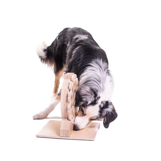 My Intelligent Pets Dřevěný hlavolam Clock