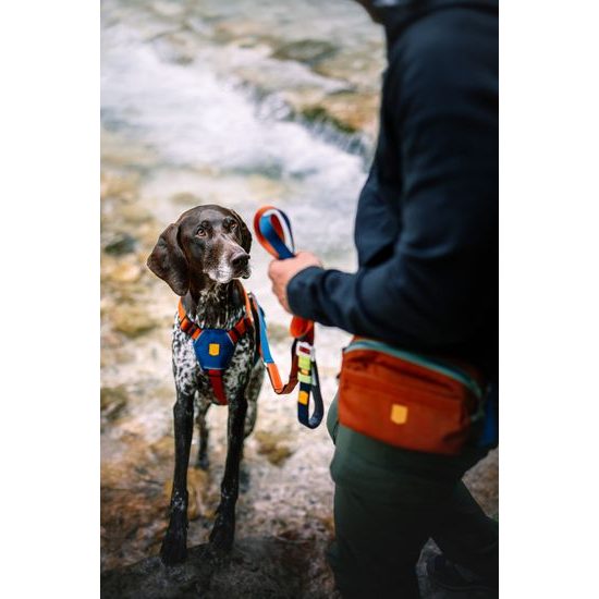 Woolly Wolf Color Block Multi-Use Leash