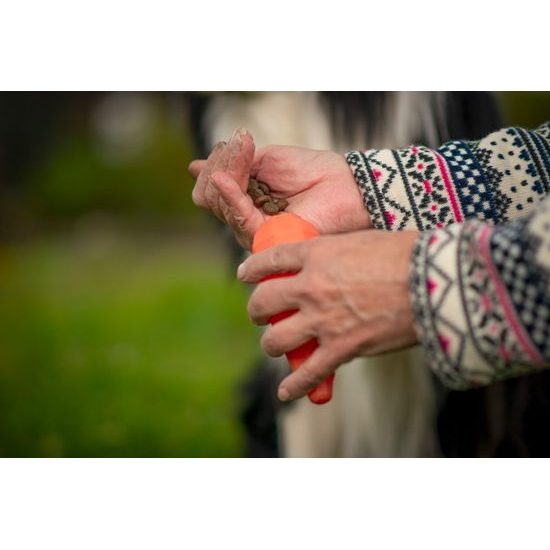 Spunky Pup Mrkev na pamlsky 13cm