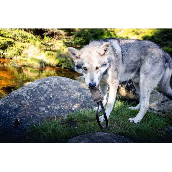 BAFPET Kožený pešek LEDER hnědá