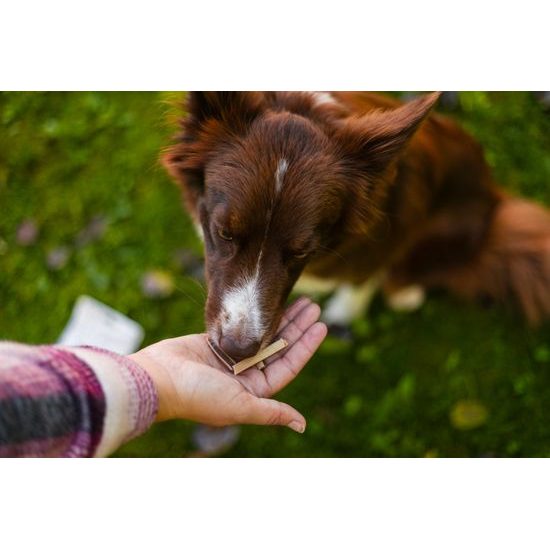 Løype Tyčinky Quacky bounty