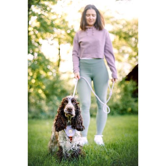 Woolly Wolf Color Block Harness