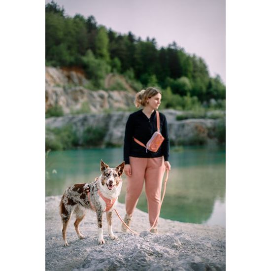 Woolly Wolf Roam Harness