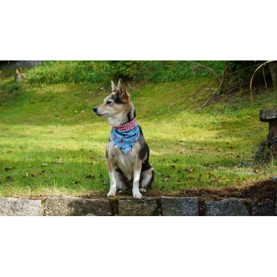 FUNKY DOG Vánoční šátek pro psy