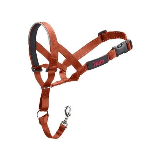 Halti Ohlávka nylon Halti oranžová vel. 1 - westík, jezevčík COA