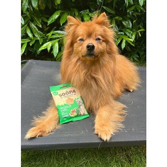Soopa Pets Soopa Healthy Bites s melounem a jablkem 50 g
