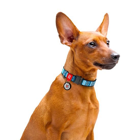 WAUDOG Obojek nylonový Ethno Blue QR fastex