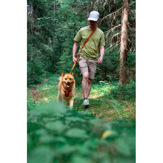 Woolly Wolf Roam Adjustable Leash