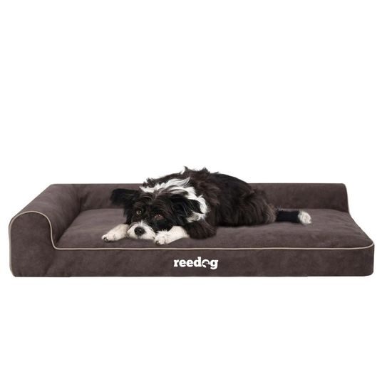 Reedog Pelíšek Best Dora Brown