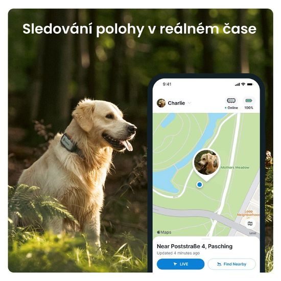 Tractive GPS DOG XL sledování polohy a aktivity pro psy