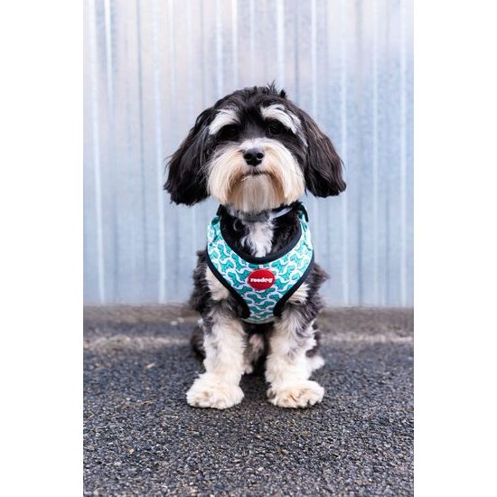 Reedog Kšíry pro psa DINO