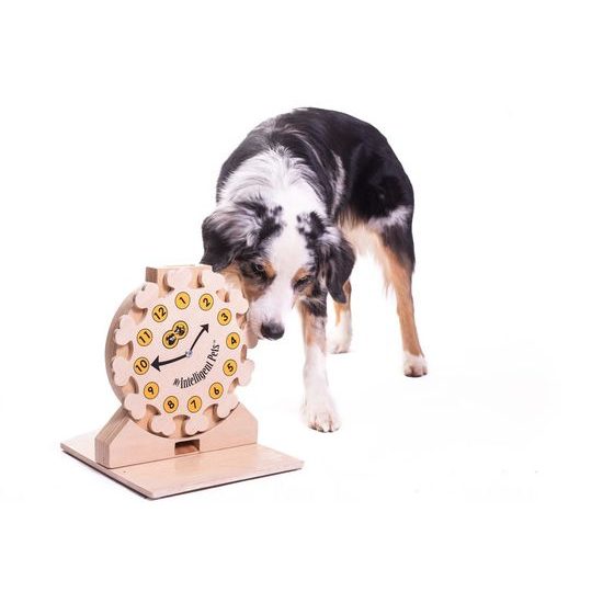 My Intelligent Pets Dřevěný hlavolam Clock