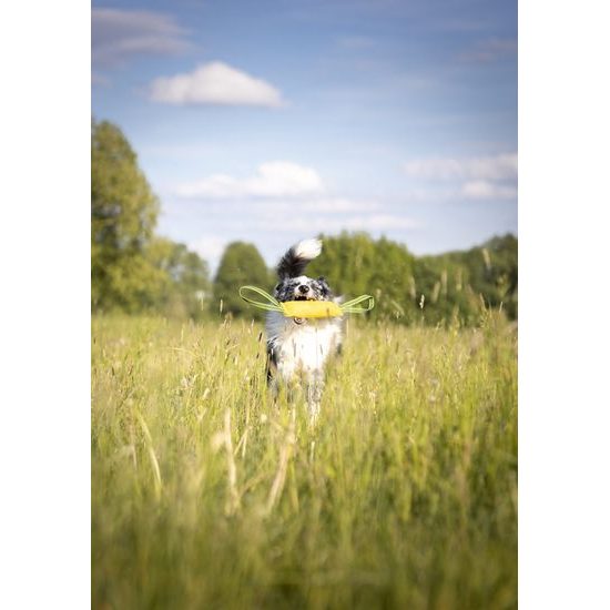 BAFPET Pešek RINGO 2x ucho žlutá