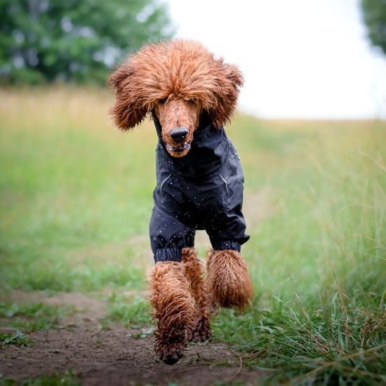 Rukka Protect Overall pláštěnka/kombinéza