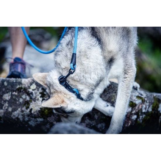 Aminela Vodítko lano s kůží černé kování modrá
