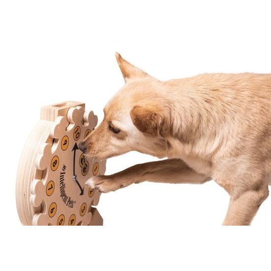 My Intelligent Pets Dřevěný hlavolam Clock