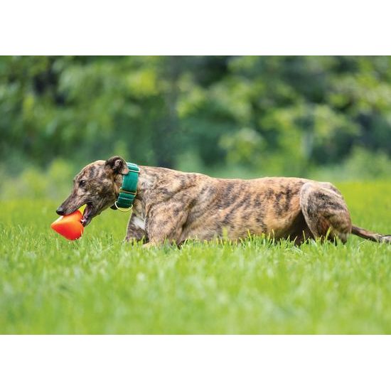 Ruff Dawg nezničitelná hračka pro psy srdce 7,6cm pro malé a střední psy do 18 kg