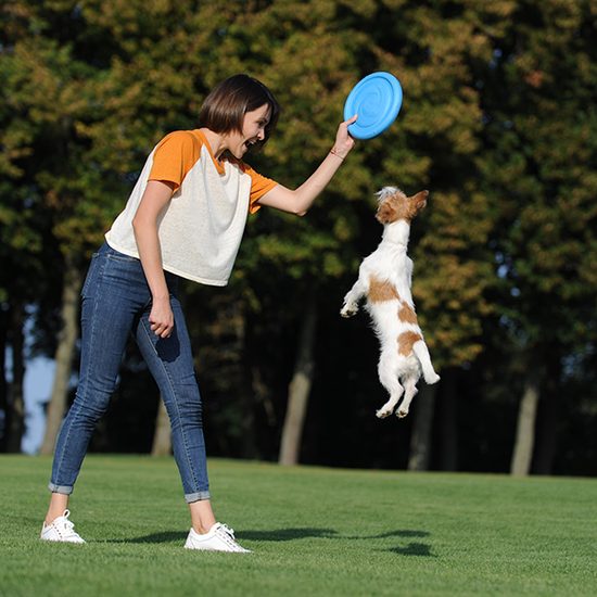 PitchDog Létající Disk pro psy