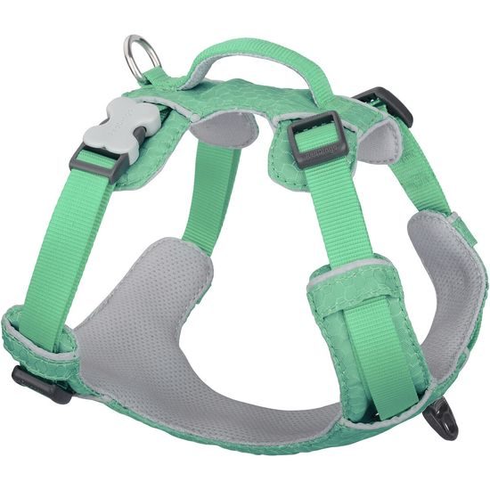Red Dingo postroj Sport Pastel Green 15 mm x 38-53 cm
