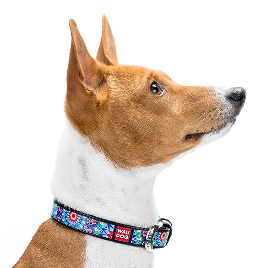 WAUDOG Obojek kožený Flowers