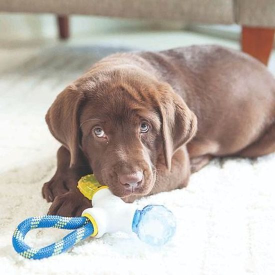 JW Pet JW Hračka pro štěňata 3 v 1 Puppy Connects