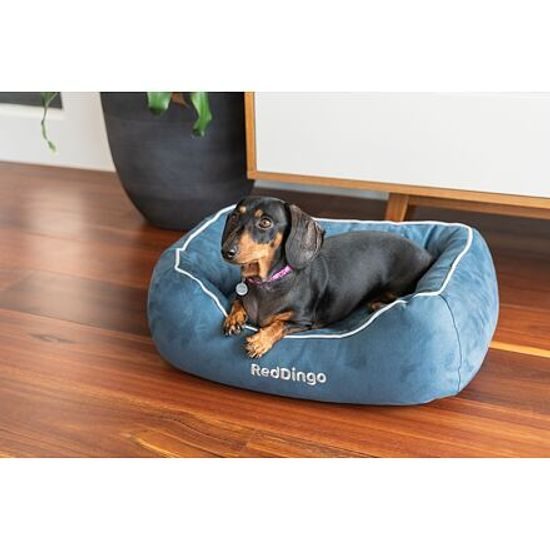 Red Dingo Donut Bed Pelech pro psy Large 100 cm modrý