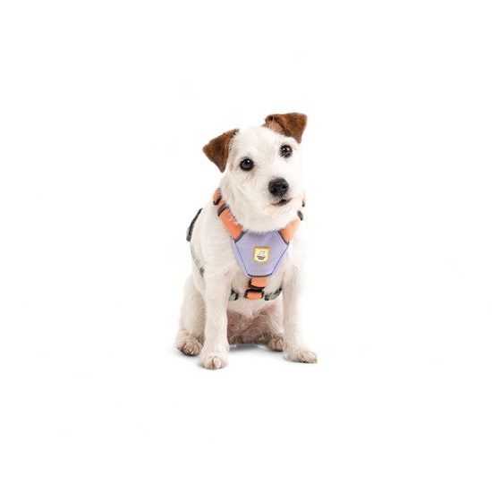 Woolly Wolf Color Block Harness