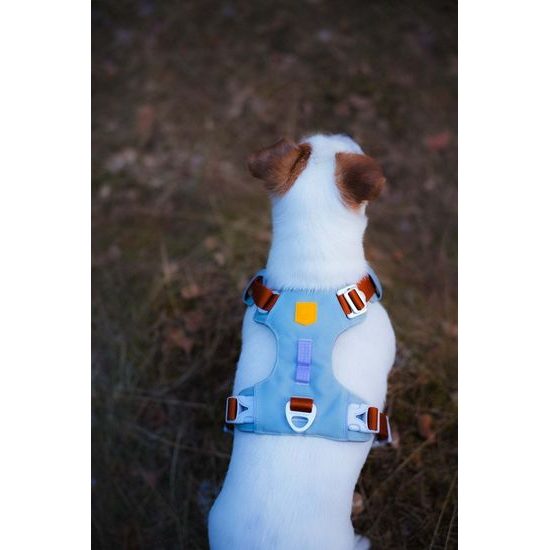 Woolly Wolf Alpha 360 Harness