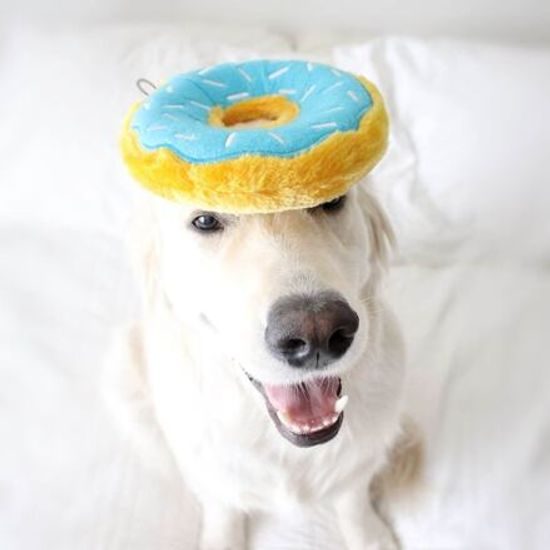 ZippyPaws Donutz