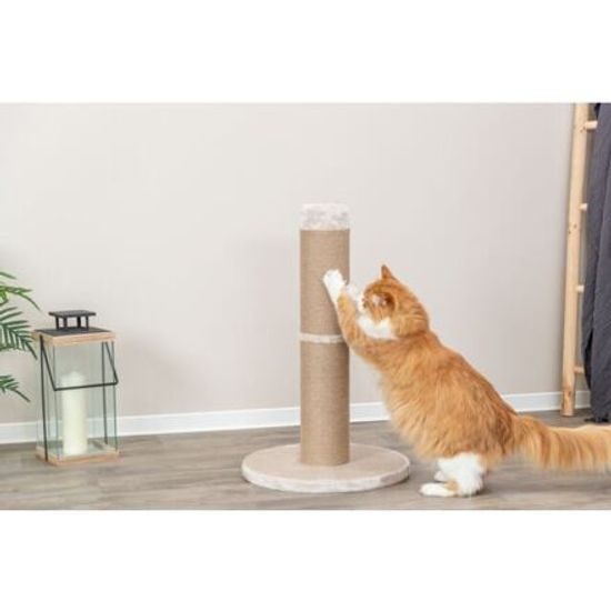 Trixie XXL škrábadlo RUE ø15cm/80cm béžová