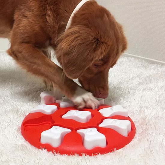 Nina Ottosson Pamlskový hlavolam