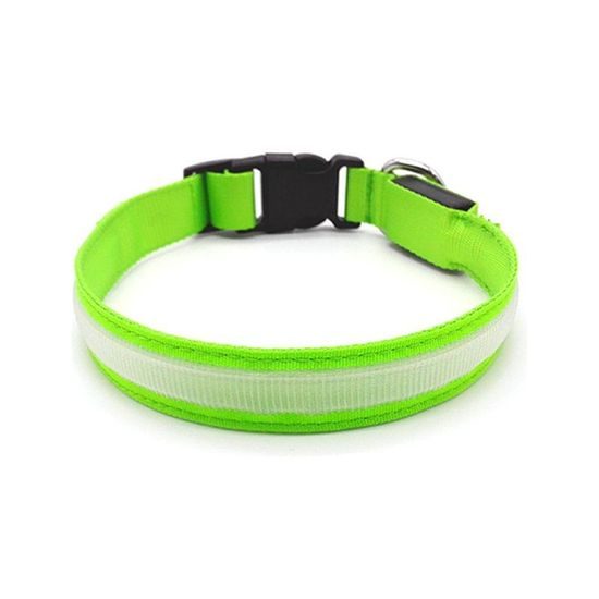 BENTECH Svítící LED obojek Bentech DC3100 zelený