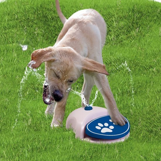 CoolPets vodní fontána Splash
