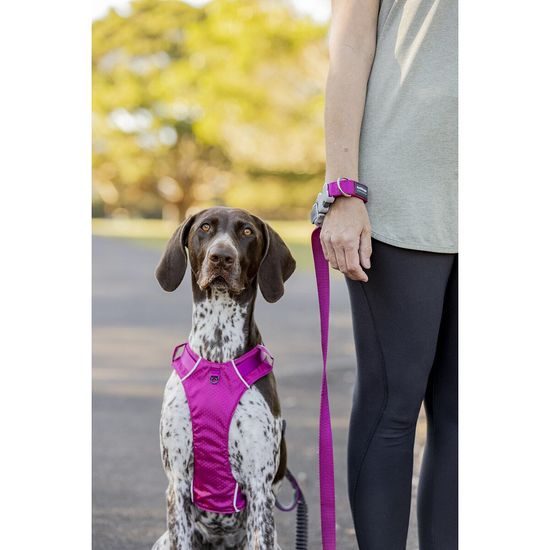 Red Dingo vodítko SuperLead Running Hi-Vis Peach 20 mm x 2,25 m