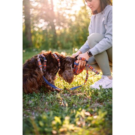 Woolly Wolf Nightless Night Harness