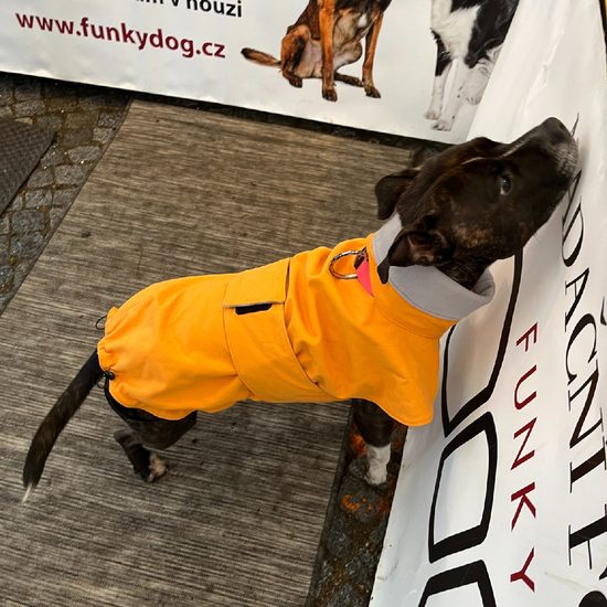 FUNKY DOG Pláštenka pro psa horčičová barva