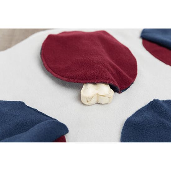 Trixie Dog Activity čichací deka 70x70cm