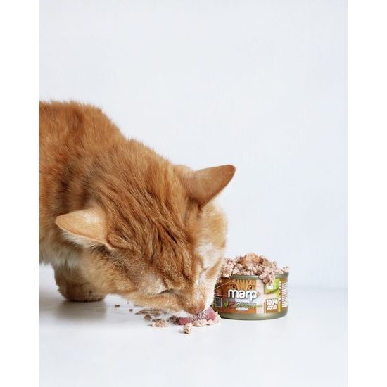Marp Holistic Plus konzerva pro kočky Kuřecí paté s krevetami 24x70g