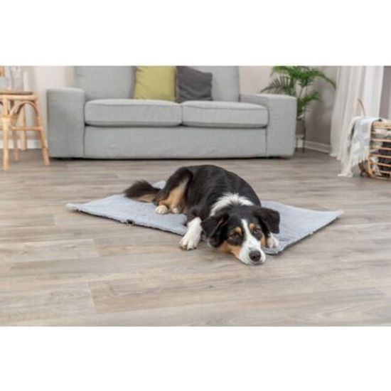 Trixie Cestovní deka AMY