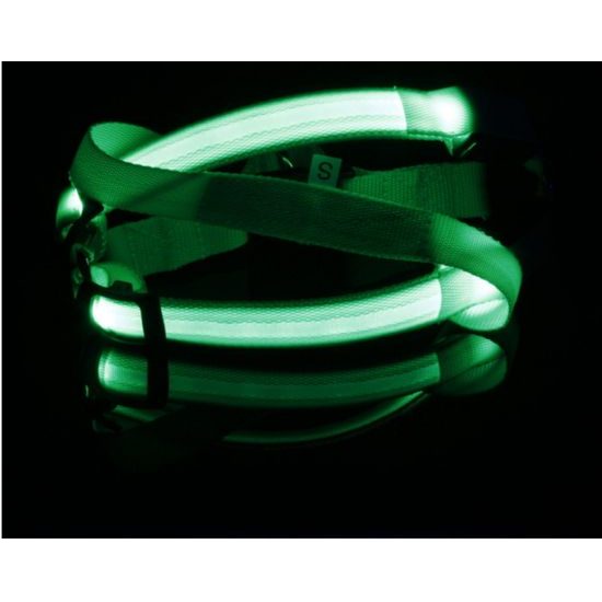 Reedog svíticí kšíry pro psy a kočky