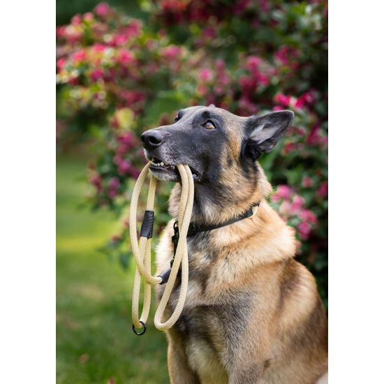 Aminela Vodítko lano s kůží černé kování béžová