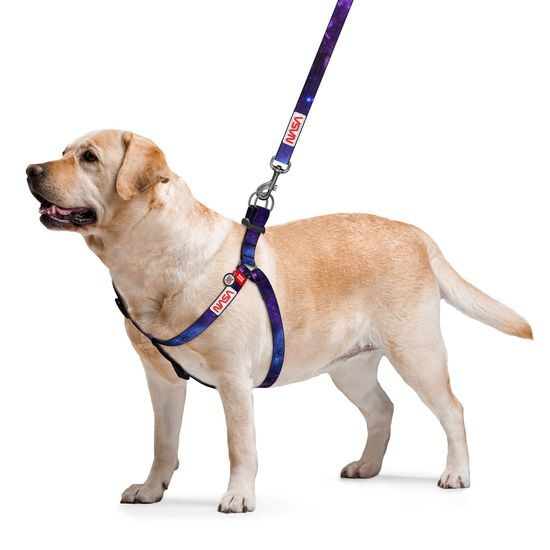 WAUDOG Postroj nylonový NASA21 QR