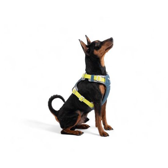 Woolly Wolf Alpha 360 Harness